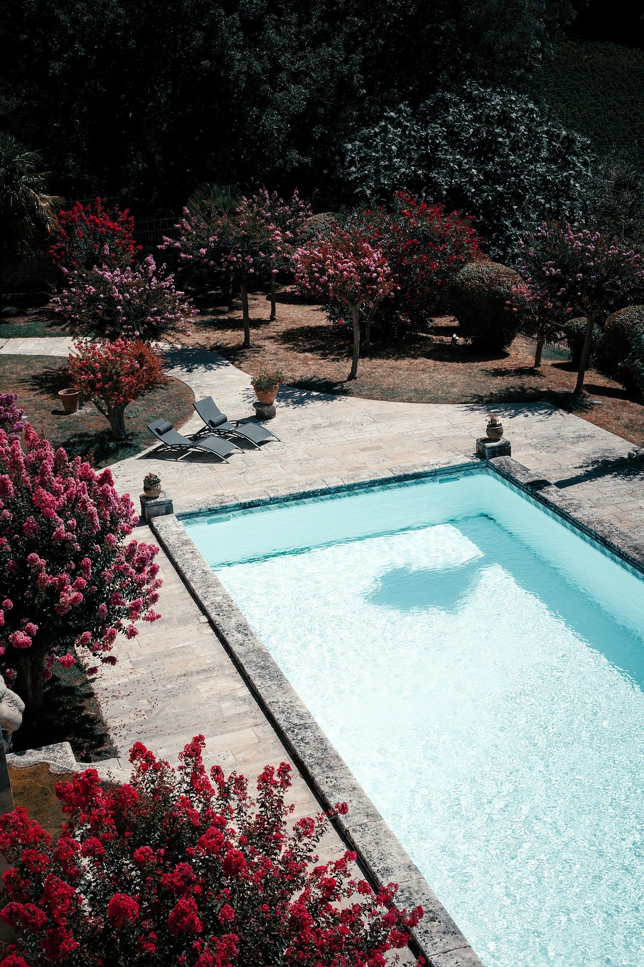 Daman Pool Villa Bungalow